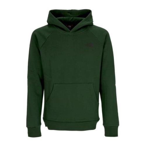 Raglan Hoodie Pine Needle The North Face , Green , Heren