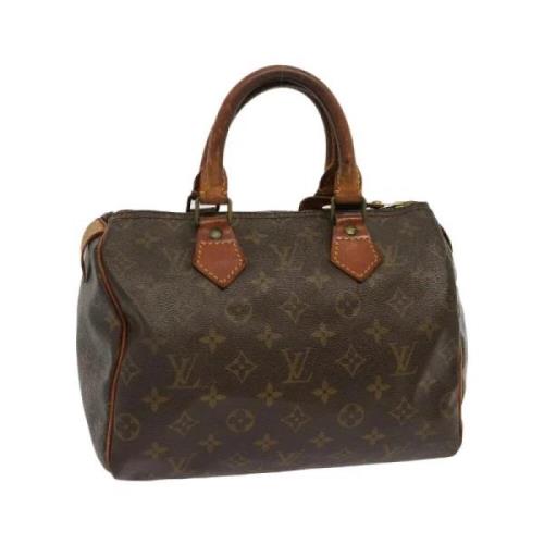 Pre-owned Canvas handbags Louis Vuitton Vintage , Brown , Dames