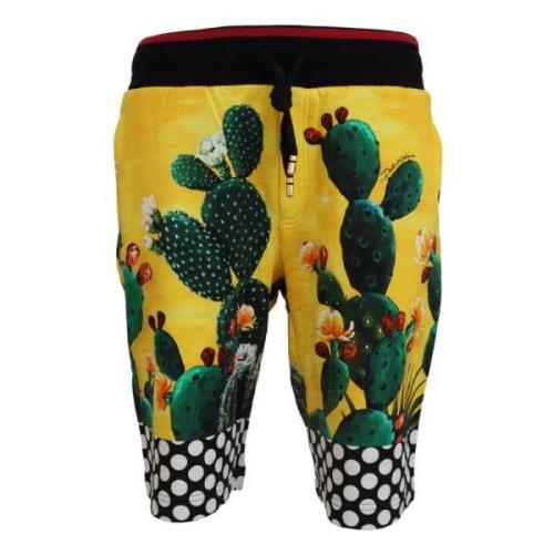 Multicolor Cactus Print Sweat Shorts Dolce & Gabbana , Multicolor , He...