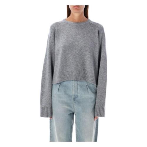 Grijze Gebreide Bruzzi Sweater Aw24 Loulou Studio , Gray , Dames