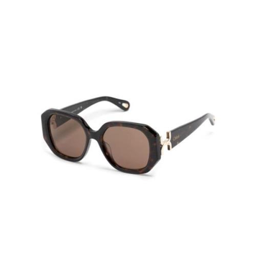 Ch0236S 002 Sunglasses Chloé , Brown , Dames