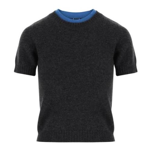 Wol Cashmere Crew Neck T-shirt Pinko , Gray , Dames