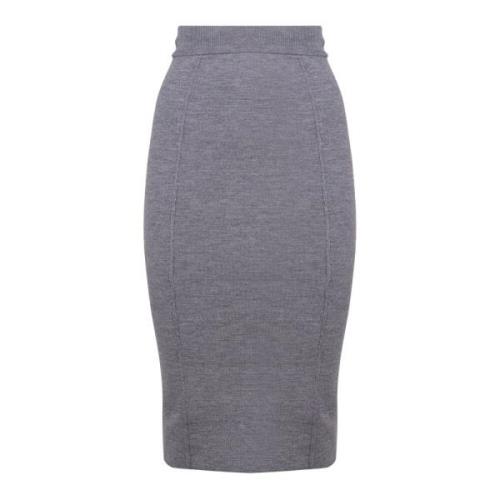 Grijze Pencil Rok Hoge Taille Rits Pinko , Gray , Dames