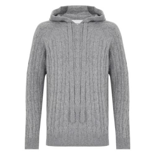 Grijze Sweater Collectie Amaránto , Gray , Heren