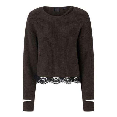 Bruine Sweater Damigiana Grandi Ribben Pinko , Brown , Dames