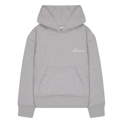 Hoodie Laneus , Gray , Heren