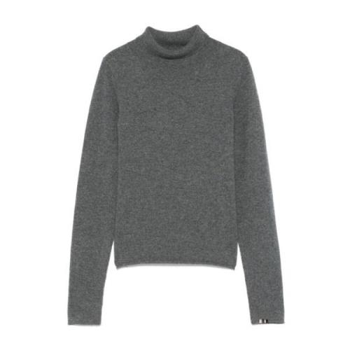 Grijze Kasjmier Trui Hoge Hals Extreme Cashmere , Gray , Dames