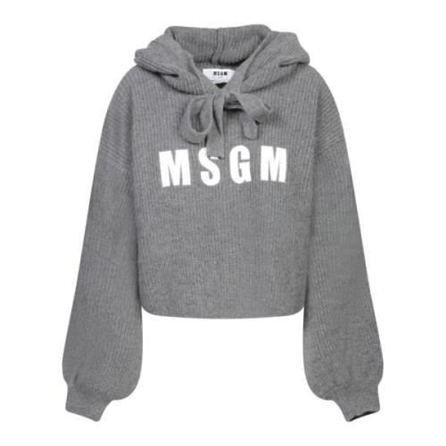 Stijlvol Grijs Gebreid Aw24 Msgm , Gray , Dames