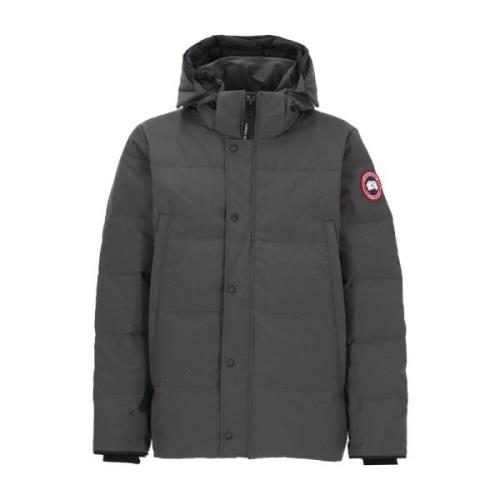 Grijze Gewatteerde Parka met Capuchon Canada Goose , Gray , Heren