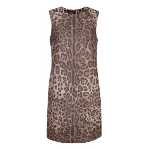 Luipaard Jacquard Midi Jurk Dolce & Gabbana , Brown , Dames