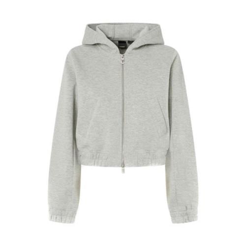 Stijlvolle Sweaters voor Trendy Uitstraling Pinko , Gray , Dames