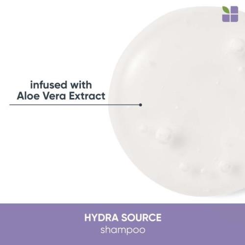 Matrix Biolage HydraSource Shampoo and Conditioner