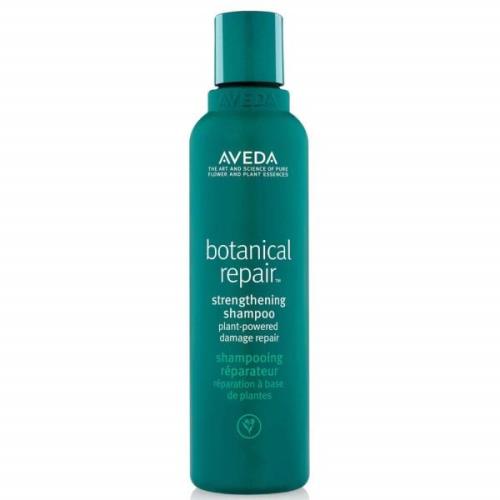 Aveda Botanical Repair Shampoo and Conditioner Duo