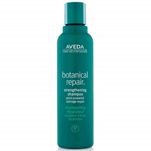 Aveda Botanical Repair Routine