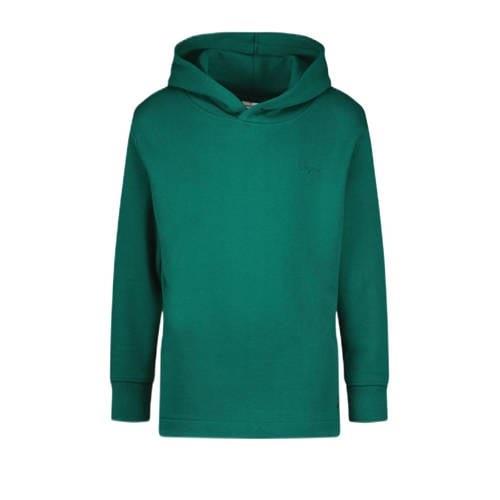 Vingino hoodie groen Sweater Roze Effen - 104 | Sweater van Vingino