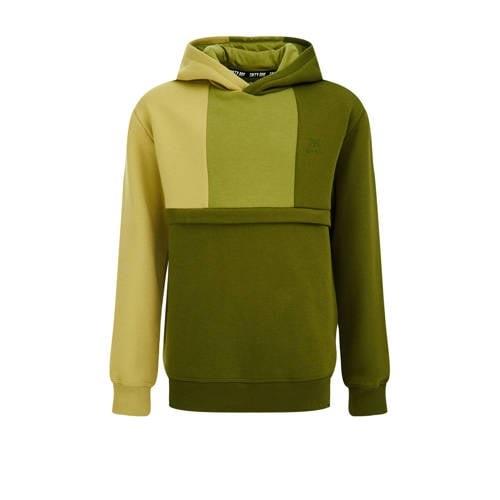 WE Fashion hoodie groen Sweater Meerkleurig - 122/128