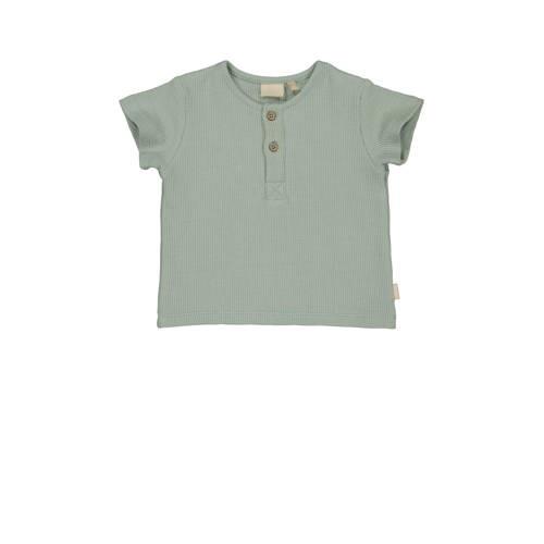 Quapi baby T-shirt DAN grijsgroen Jongens Katoen Ronde hals Effen - 56