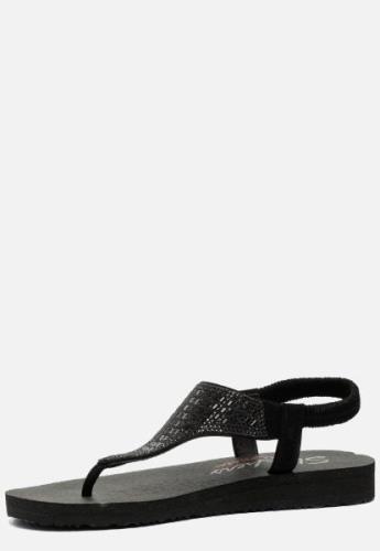 Skechers Meditation Rockstar Sandalen zwart