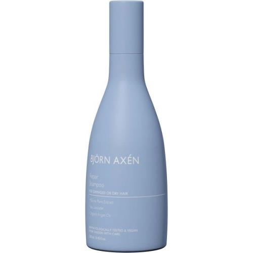 Björn Axen Repair Shampoo 250 ml