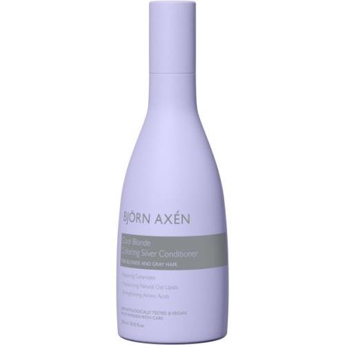 Björn Axen Cool Blonde Cool Blonde Coloring Silver Conditioner 25