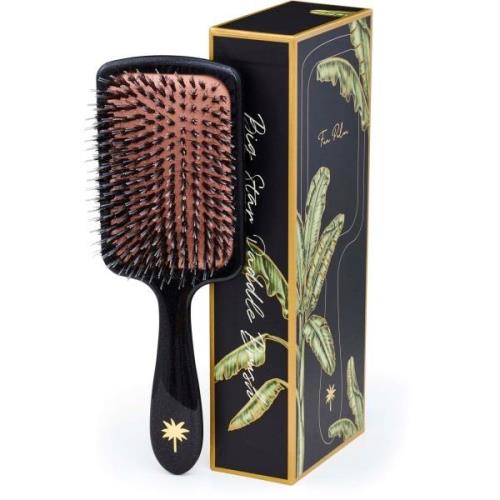 Fan Palm Large Paddle Brush Big Star