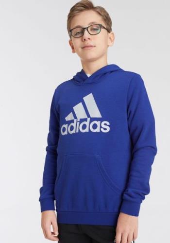 adidas Sportswear Hoodie BIG LOGO ESSENTIALS COTTON HOODIE