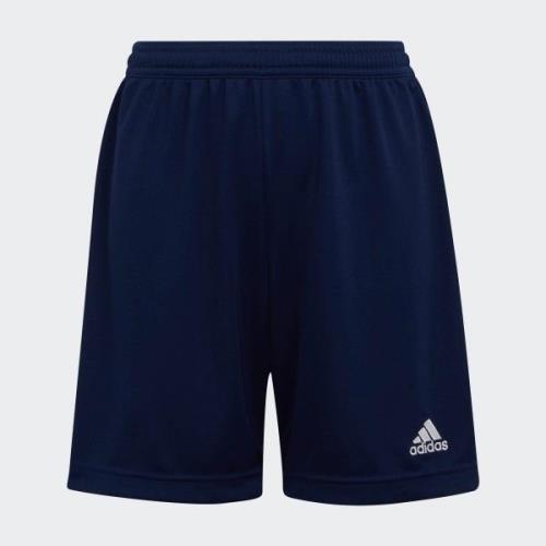 adidas Performance Trainingsshort ENT22 SHO Y (1-delig)