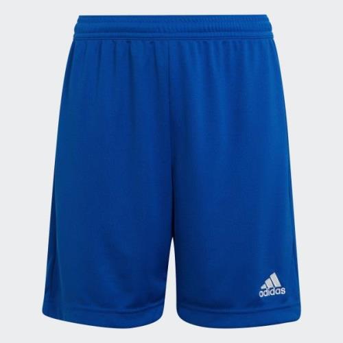 adidas Performance Trainingsshort ENT22 SHO Y (1-delig)