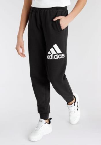 adidas Sportswear Sportbroek ESSENTIALS REGULAR FIT BIG LOGO COTTON BR...