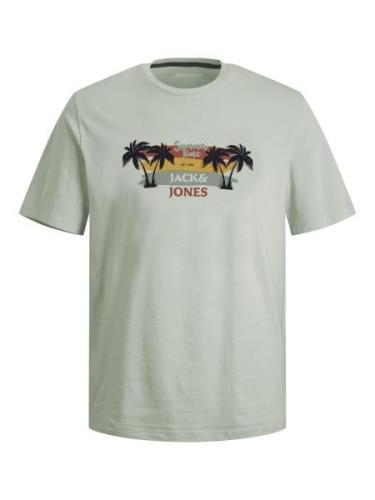 Jack & Jones Junior Shirt met korte mouwen JJSUMMER VIBE TEE SS CREW N...