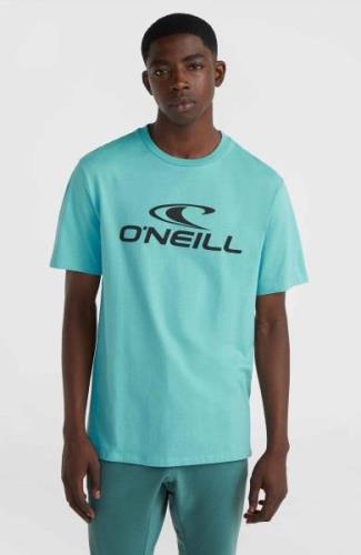 O'Neill T-shirt O'NEILL LOGO T-SHIRT