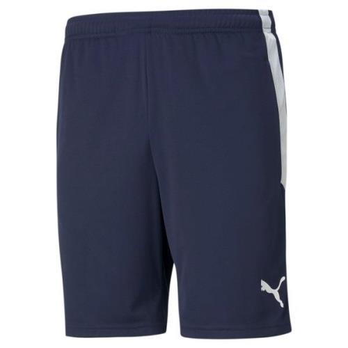 PUMA Trainingsshort TEAMLIGA TRAINING SHORTS