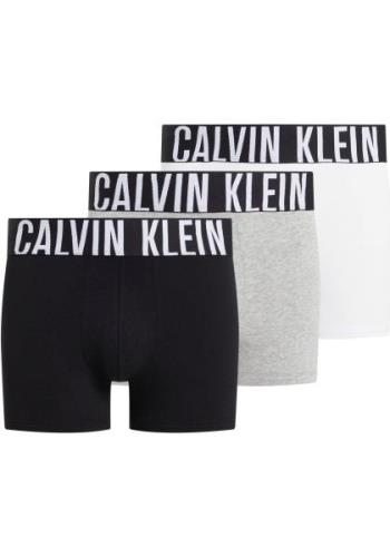 Calvin Klein Trunk 3PK met elastische logo-band (3 stuks)