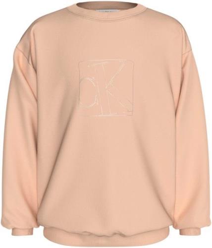 Calvin Klein Sweatshirt SILVER MONOGRAM CN SWEATSHIRT