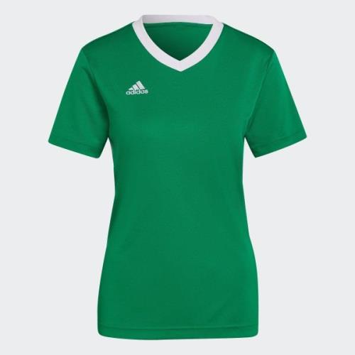 adidas Performance Voetbalshirt ENT22 JSY W