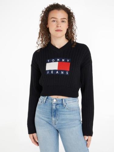 Tommy Jeans Curve Trui met V-hals TJW VNCK CENTER FLAG SWEATER EXT