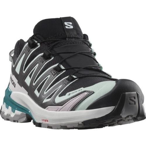 Salomon Trailrunningschoenen XA PRO 3D V9 GORE-TEX