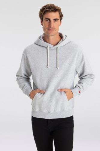 Levi's® Hoodie THE AUTHENTIC HOODIE