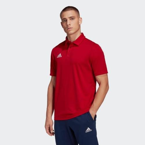 adidas Performance Poloshirt ENT22 POLO