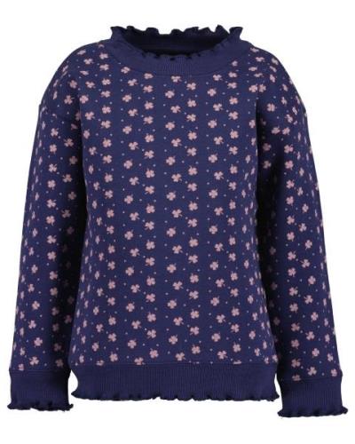 Blue Seven Sweatshirt