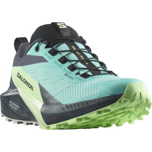 Salomon Trailrunningschoenen SENSE RIDE 5 GORE-TEX® W waterdicht, trai...