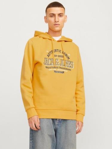 Jack & Jones Hoodie JJELOGO SWEAT HOOD 2 COL 24/25 NOOS