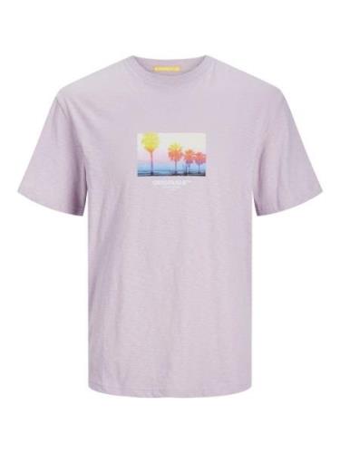 Jack & Jones T-shirt JORARUBA SMALL PHOTO TEE SS CREW NECK