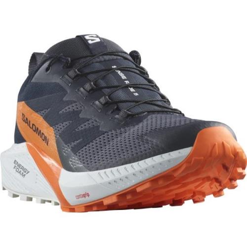 Salomon Trailrunningschoenen SENSE RIDE 5 GORE-TEX waterdichte trailru...