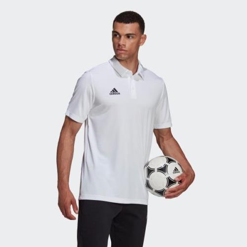 adidas Performance Poloshirt ENT22 POLO