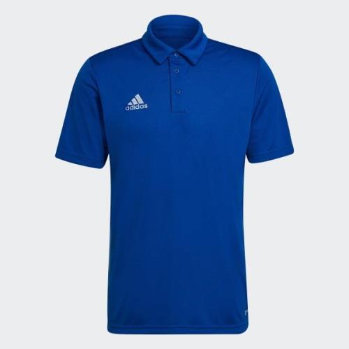 adidas Performance Poloshirt ENT22 POLO