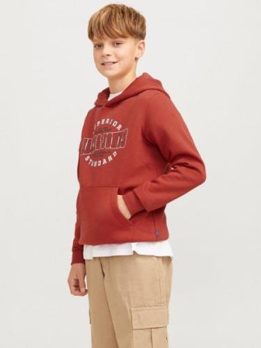 NU 20% KORTING: Jack & Jones Junior Hoodie JJELOGO SWEAT HOOD 2 COL 24...