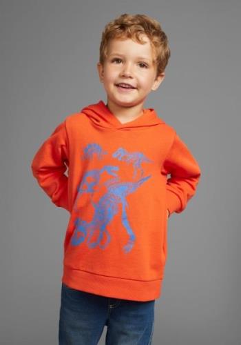 KIDSWORLD Hoodie Dino Lange mouwen, basic pasvorm, met stijlvolle prin...