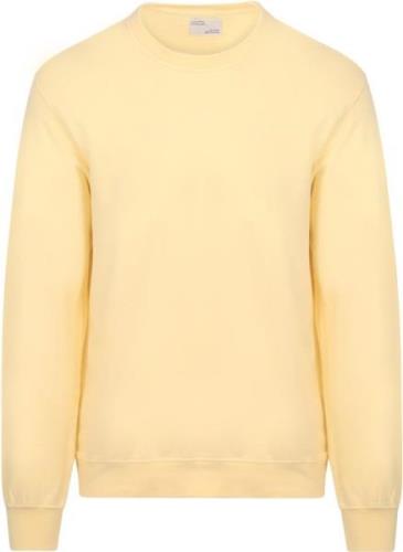 Colorful Standard Sweater Soft Yellow