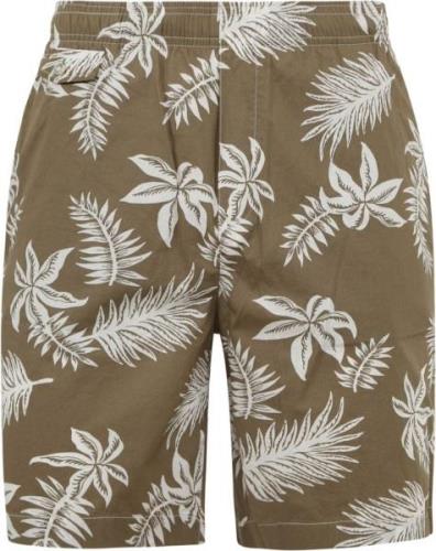 Scotch and Soda Short Print Donkergroen